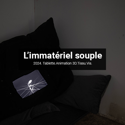  L’immatériel souple