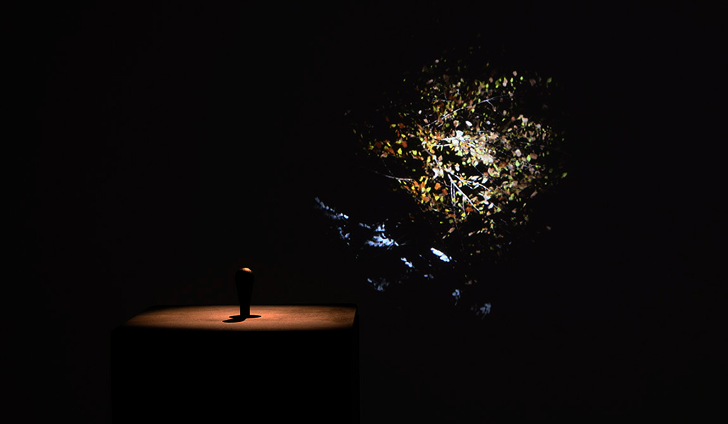 trois projections vidéo d'echafaudages en animation 3D